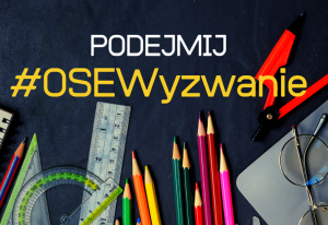 WSPARCIE PROCESU ZDLANEGO NAUCZANIA