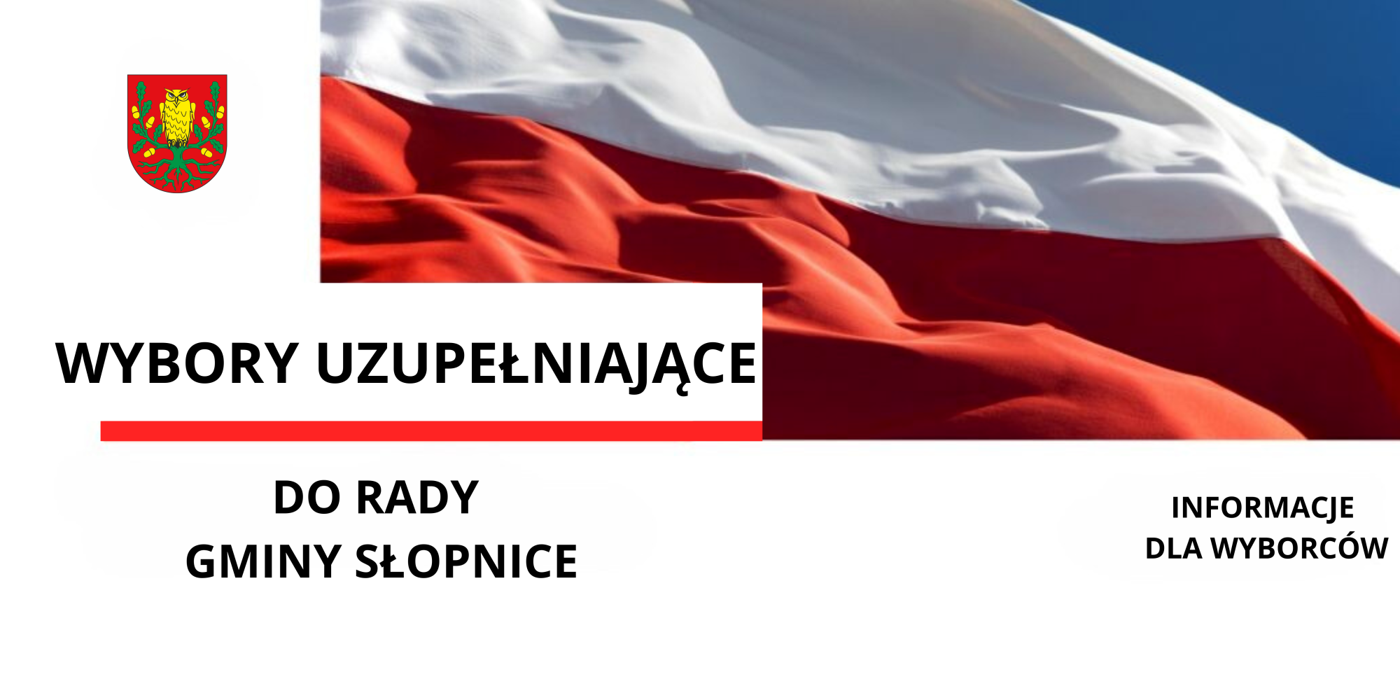 Wybory uzupełniające